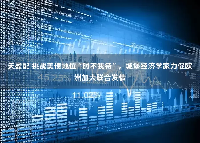 天盈配 挑战美债地位“时不我待”，城堡经济学家力促欧洲加大联合发债