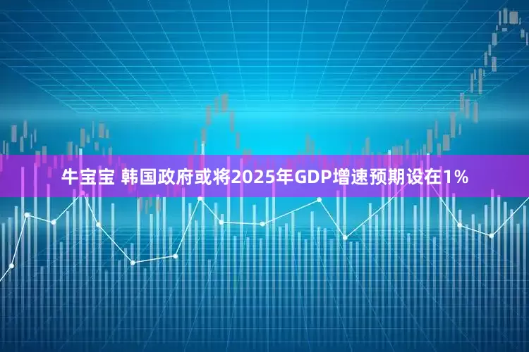 牛宝宝 韩国政府或将2025年GDP增速预期设在1%