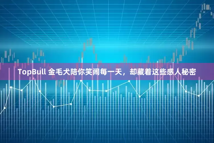 TopBull 金毛犬陪你笑闹每一天，却藏着这些感人秘密