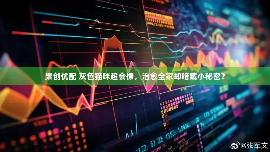 聚创优配 灰色猫咪超会撩，治愈全家却暗藏小秘密？